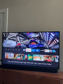 48 Inch Vizio TV