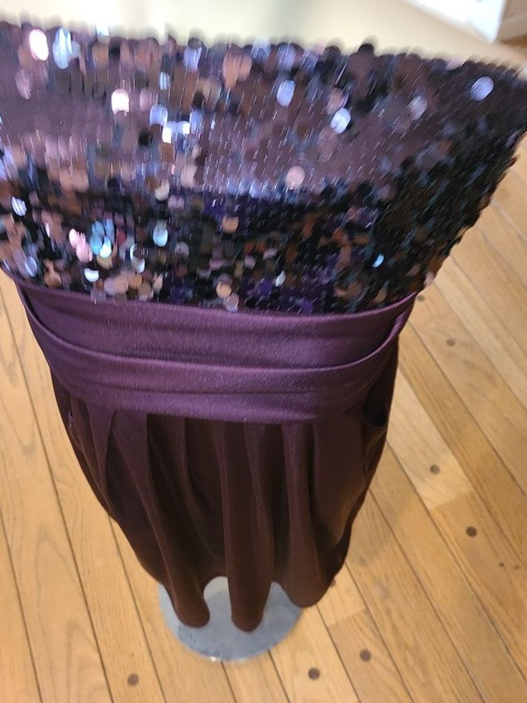 Brand New Beautiful Plum Colored Dress With Sequins Around The Bust.