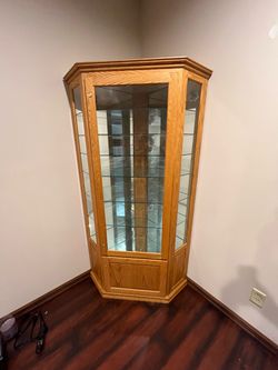 Glass Display Case / Gun Cabinet