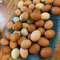 Eggs And Chickens 