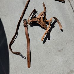 Working Dog Leach/Harness