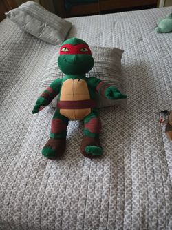 Ninja Turtles...