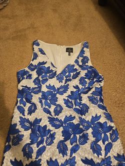 Blue & White Floral Embroidered  Dress