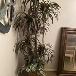 Large Plant