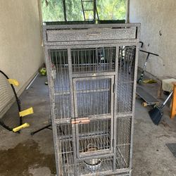 Bird Cage 