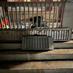 Electric Wheel Chair And Handicap Rails