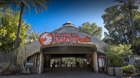 2 san Diego safari park hard physical tickets
