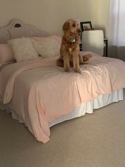 Bed Frame,Mirror dress & Nightstand