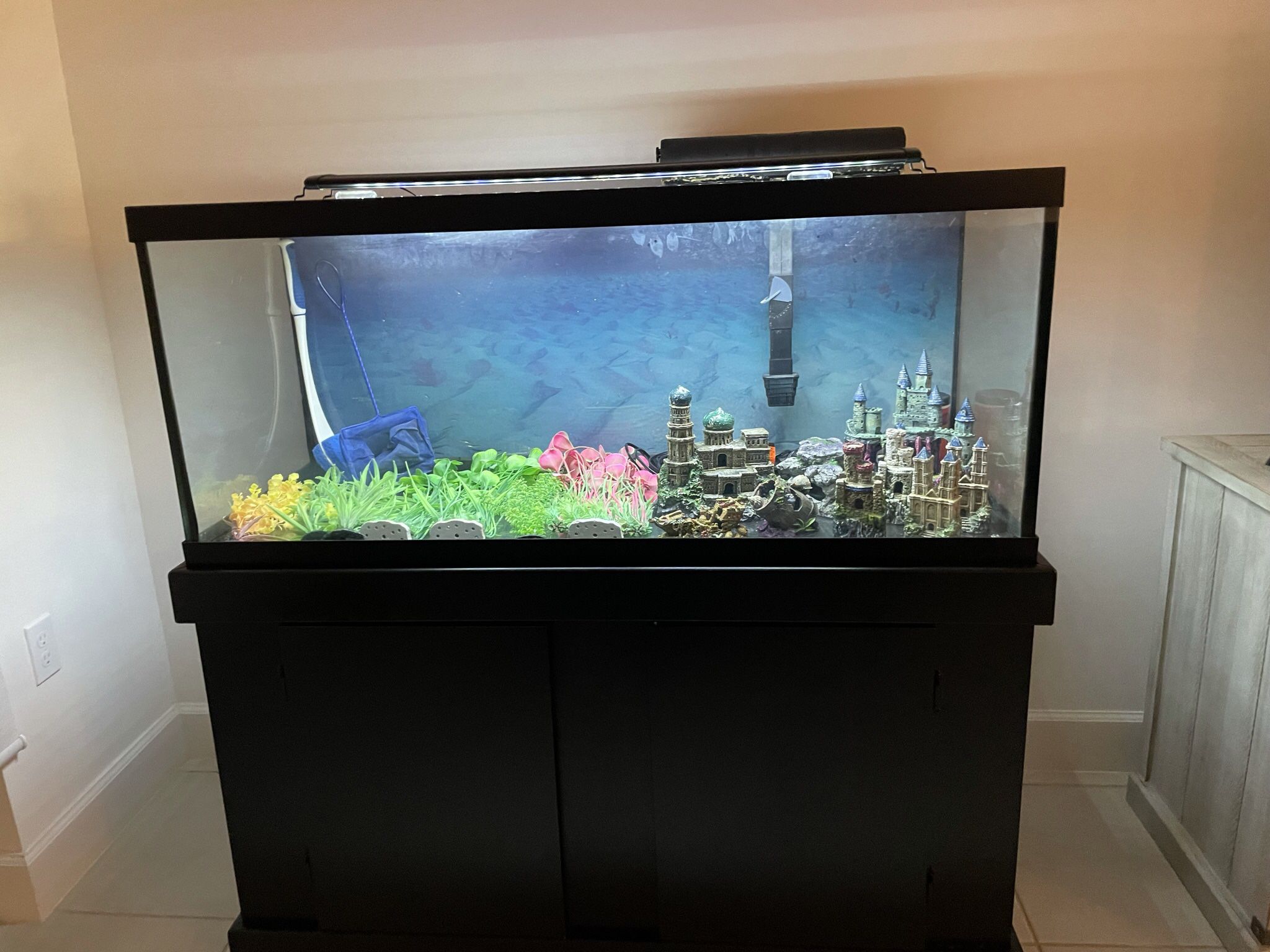 75 Gallon Fish Tank With Equipment And Accessories