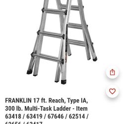 17ft Ladder From Harbor Freight 