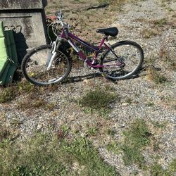 Free Bike