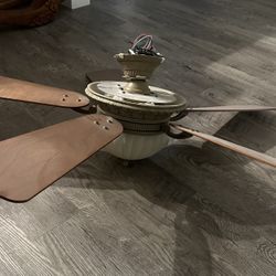 Ceiling Fan