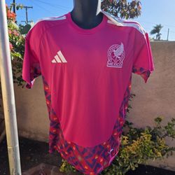 Mexico Pink Goalie World Cup Soccrr Jersey 2026