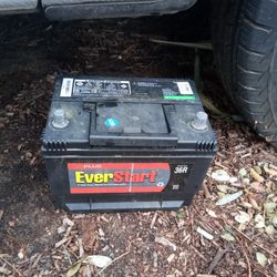 Everstart 36R