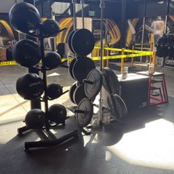 Medicine Balls – Plyo Box – Bar – Bumper Plates – Rubber Flooring – Squat Rack – Smith Machine – Dumbbells