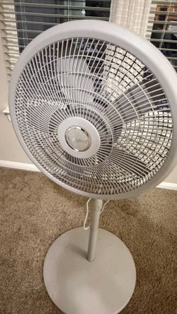 Fan