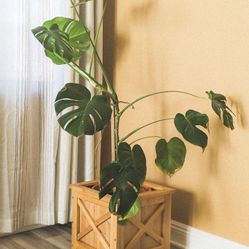 Indoor Farmhouse Style Cedar Planter 