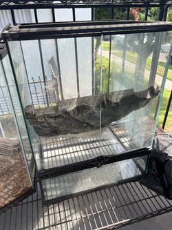 Reptile enclosure
