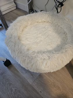 Cat Bed