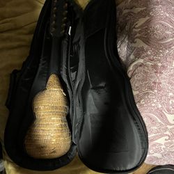 Armadillo Charango 