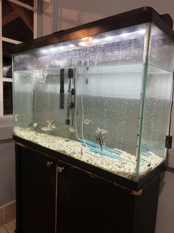 pecera 55 gal 