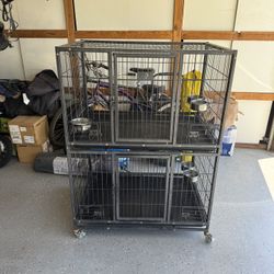 Double Dog Crate