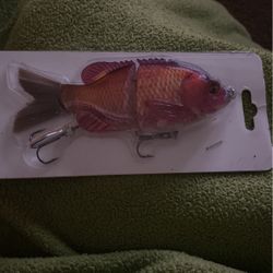 Fishing Lure 