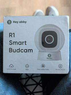 R1 Smart Bud Cam