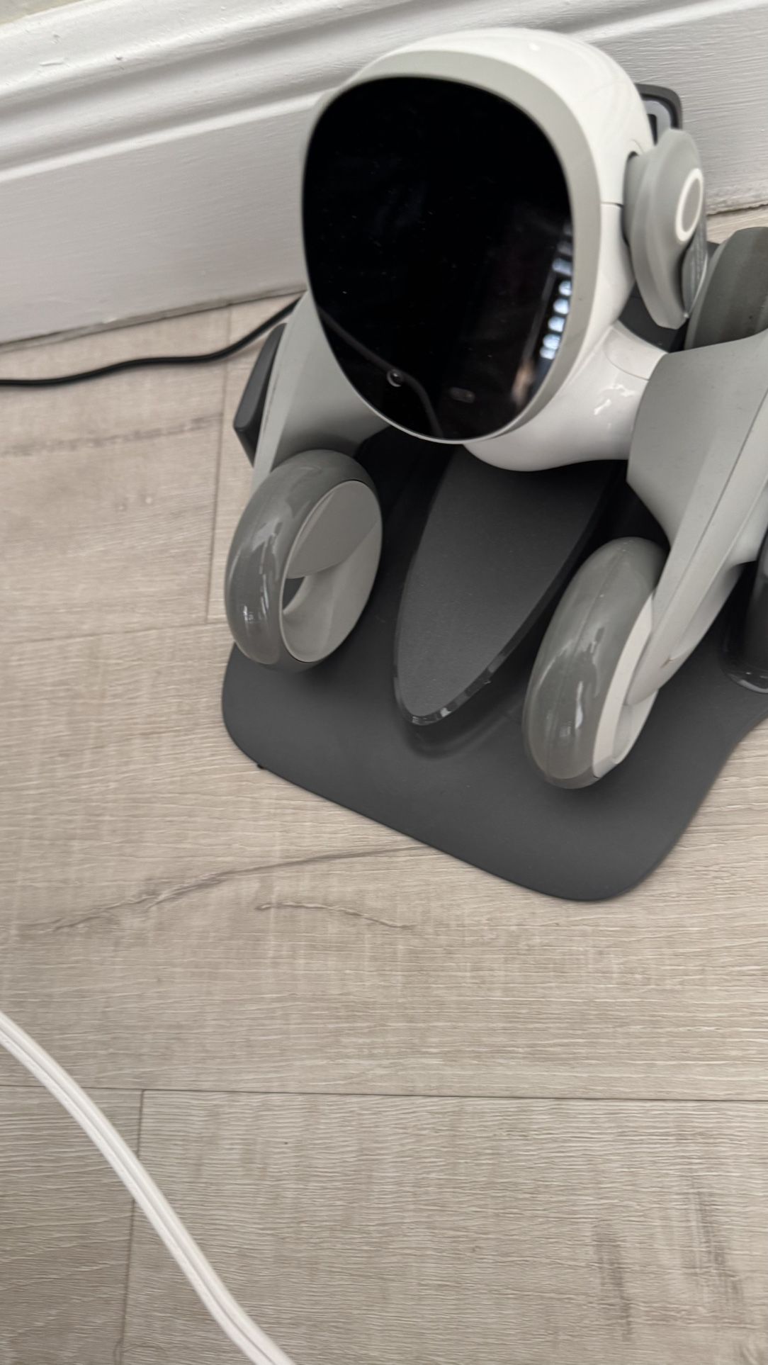 Loone Inteligencia Artificial Dog