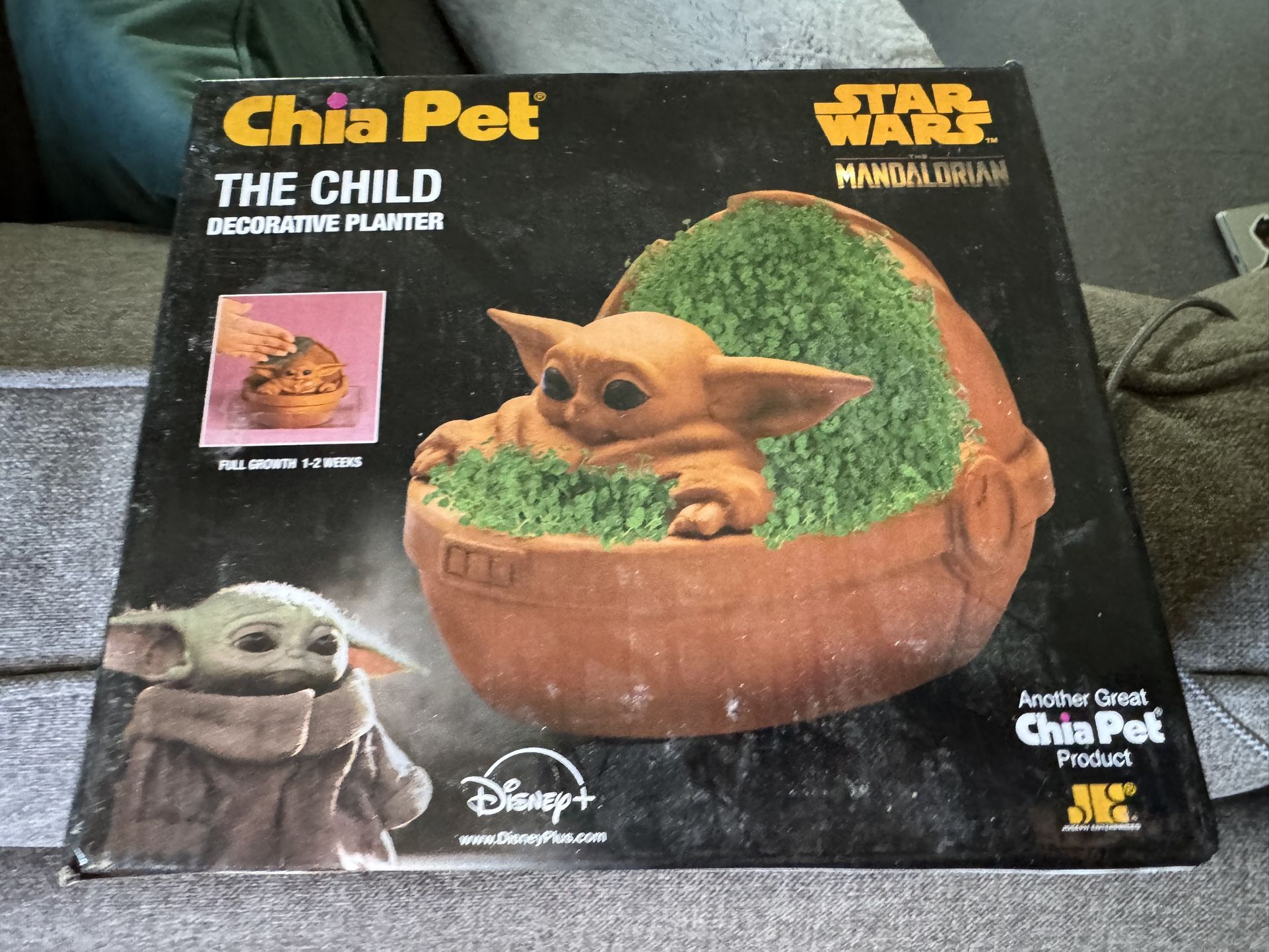 Chia Pet The Mandalorian - The Child Baby Yoda Decorative Planter Clay 1 pc