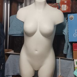 Mannequins lot of 6