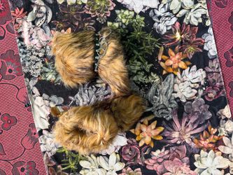 Brown/tan fur boots