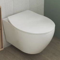 Elongated Wall Hung Toilet Included Seat