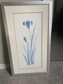 Elegant framed picture