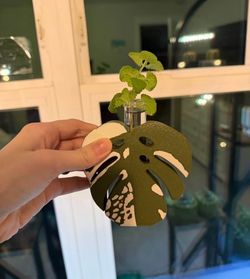 Monstera Albo Propogation stand with glass tube
