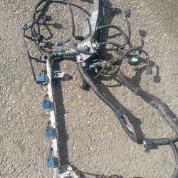 Kseries Engine Harness (Full)