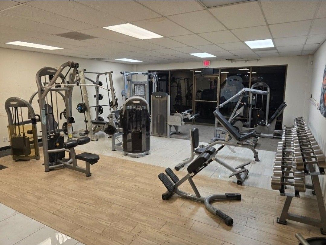 Commercial Gym Equipment Exercise Fitness Matrix Small Package