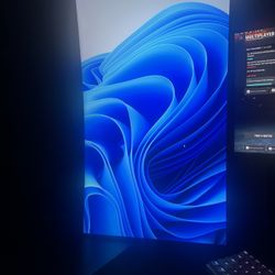 Gaming Monitor 