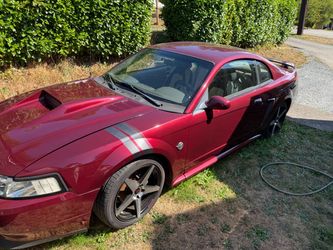 2004 40th anniversary mustang