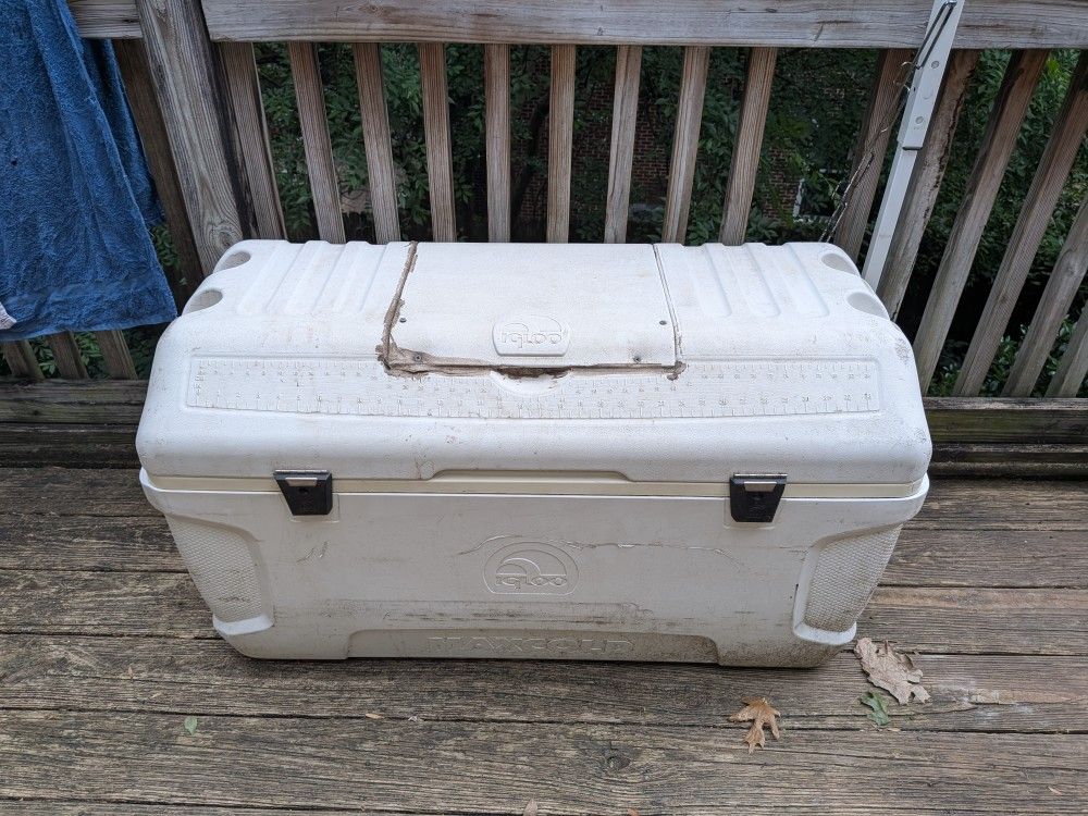 Igloo Maxcold 165-quart cooler