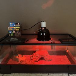 Reptile Cage And Heat Lamp