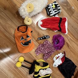 7 Dog Costumes For Size Small