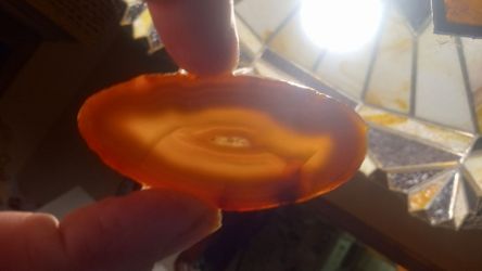 5 Translucent Carnelian Agate Eye Slabs (111g / 3.9oz) – Cabbing / Lapidary
