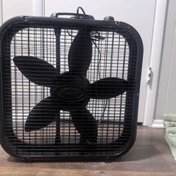 20 In Box Fan