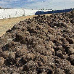 Cheap, take everything you need