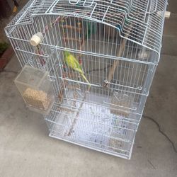 Parakeet Cage