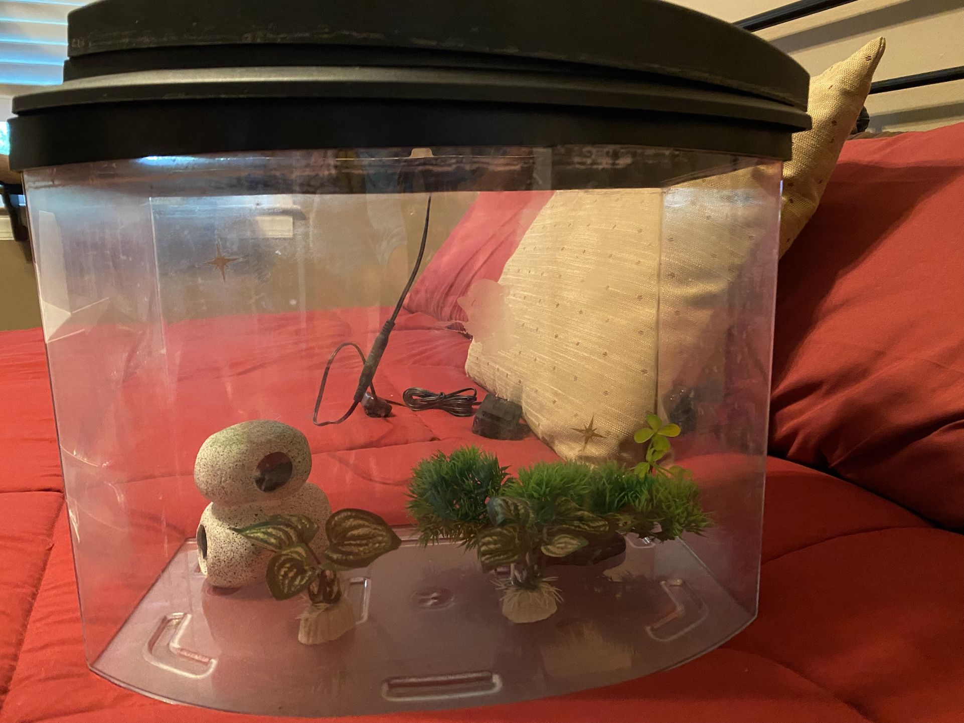 Aquarium And Accessories