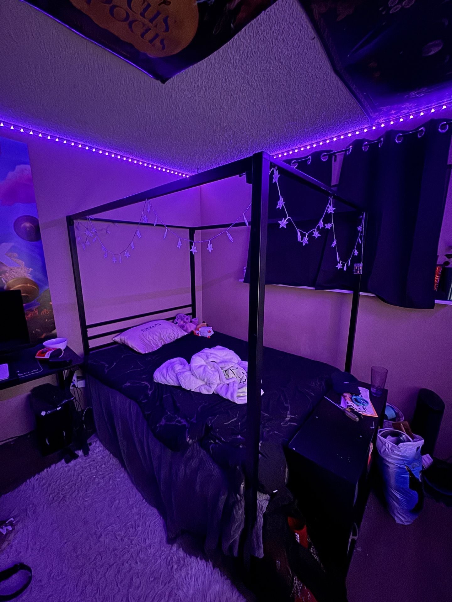 Full Canopy Bed Frame