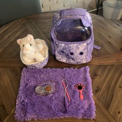 Play cat with backpack and accessories