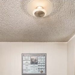 Free Ceiling Light with Extra Bulb